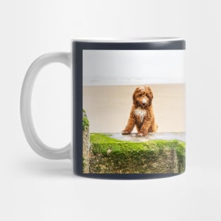 Red Cockapoo Puppy On The Beach Mug